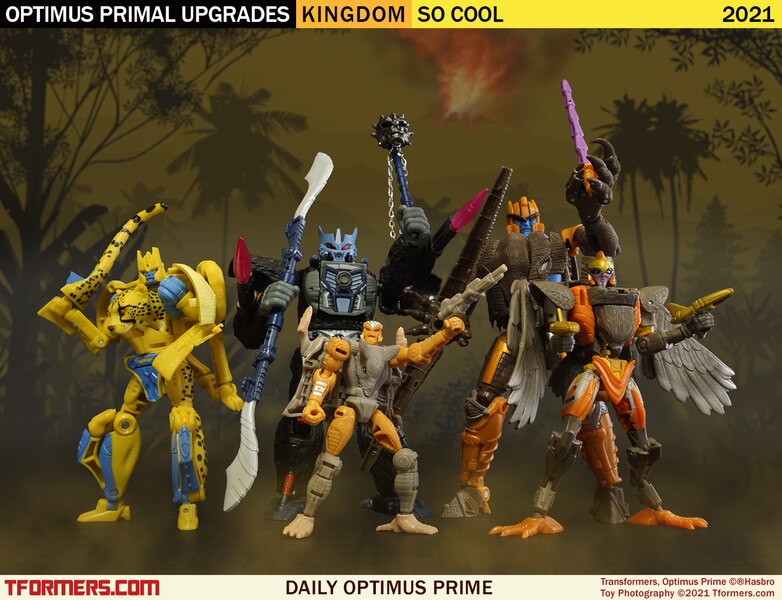 Daily Prime   SO COOL Kingdom Optimus Primal Upgrades (1 of 1)